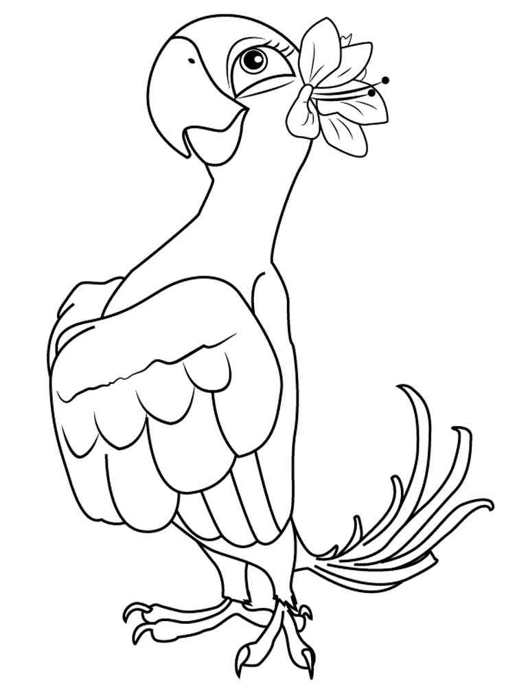 Rio and rio coloring pages