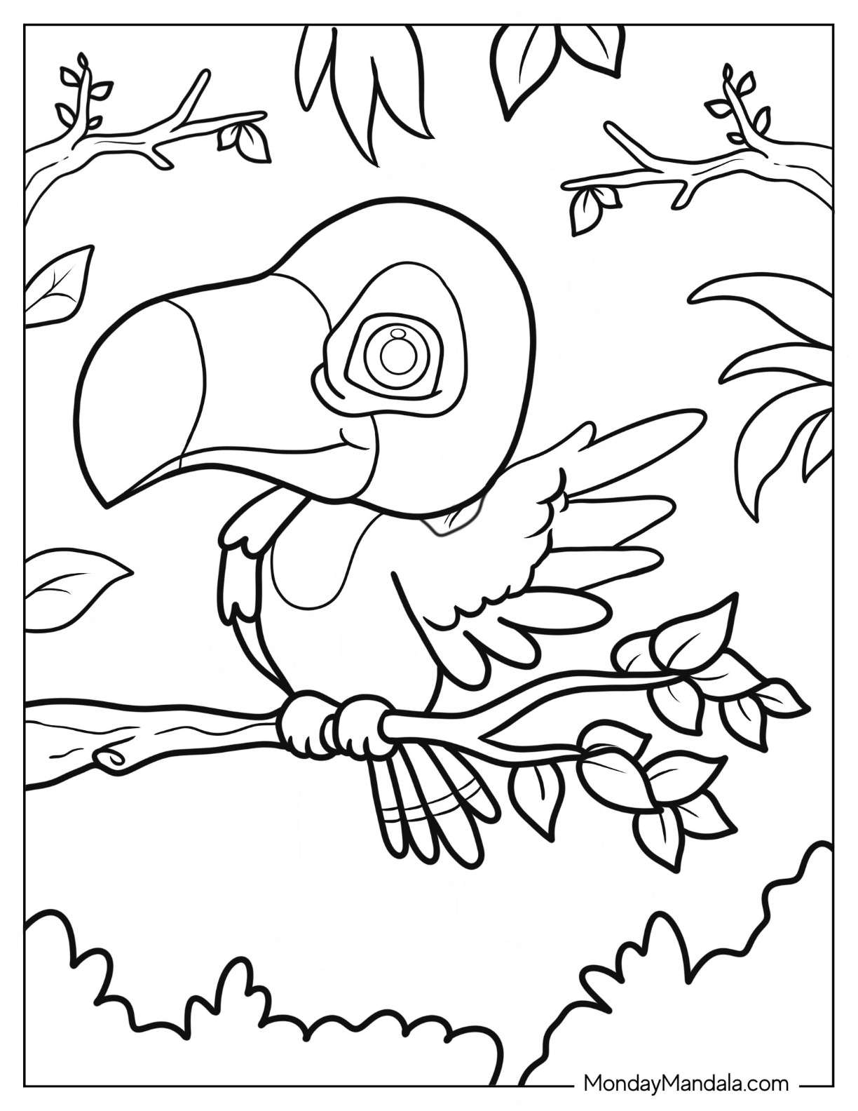 Toucan coloring pages free pdf printables