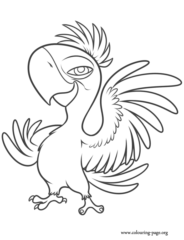 Top rio movie coloring pages for your little ones easy disney drawings bird coloring pages cartoon coloring pages