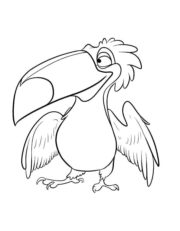 Online coloring pages coloring page toucan rio download print coloring page