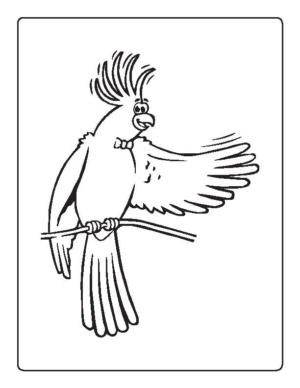 Parrot coloring pages printable digital download