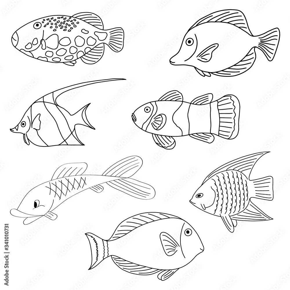 Set of fish from the sea or rivercoloring pages for adults or childrenblack and white imagea book for coloring doodlesvector illustration vector