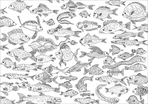 Fishes