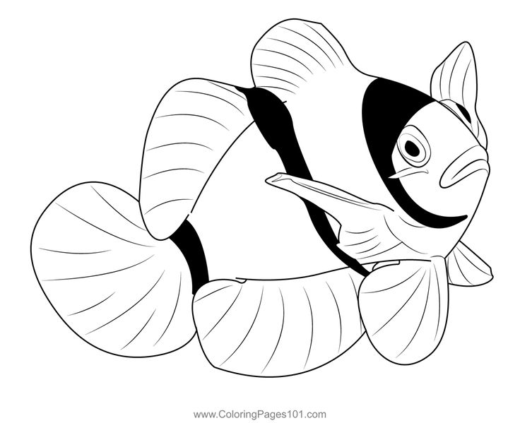 Clown water fish coloring page fish coloring page coloring pages color