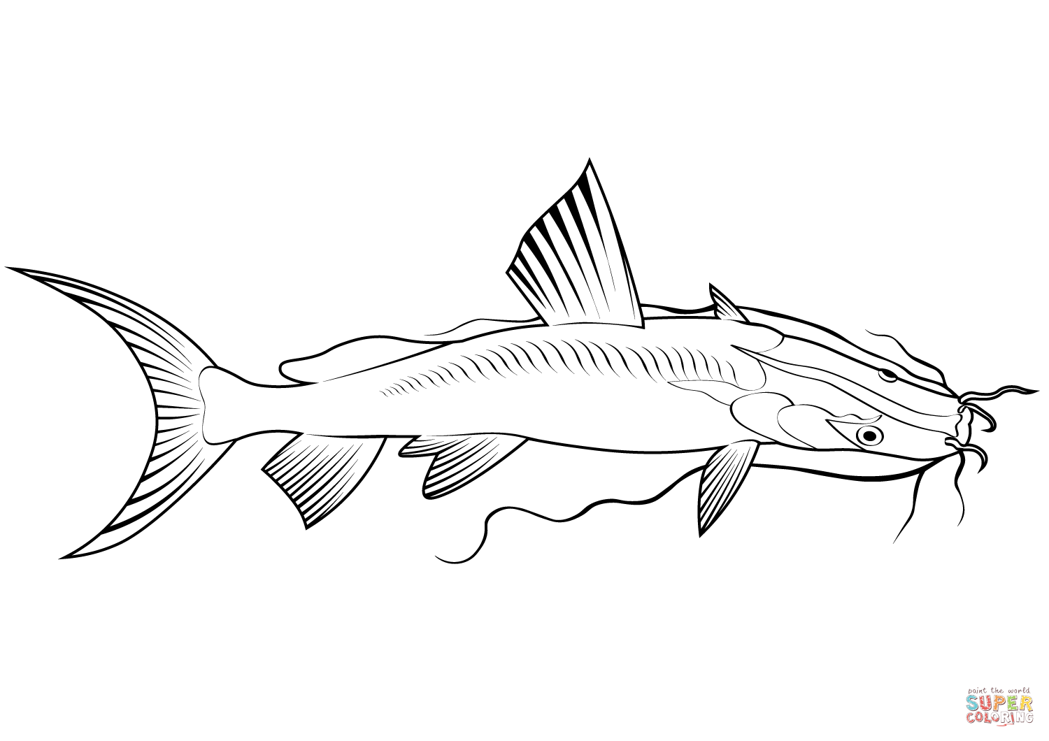 Giant river catfish sperata seenghala coloring page free printable coloring pages