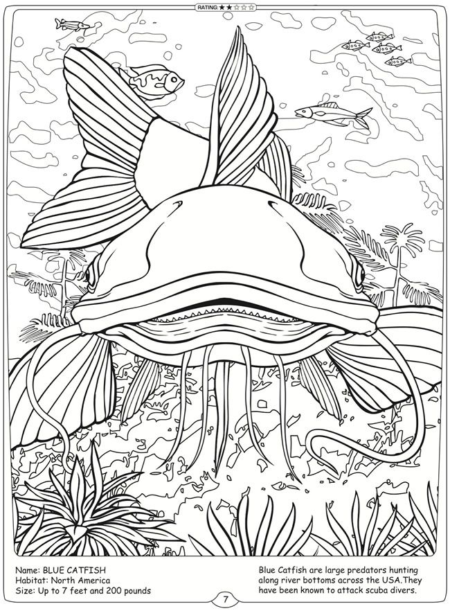 Wele to dover publications river monsters of the world blue catfish fall coloring pages fish coloring page dover coloring pages