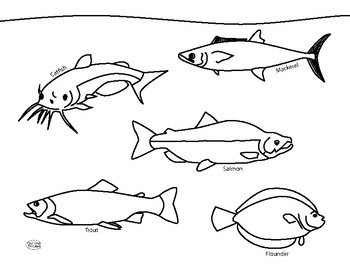 Fish coloring page by our time to learn tpt