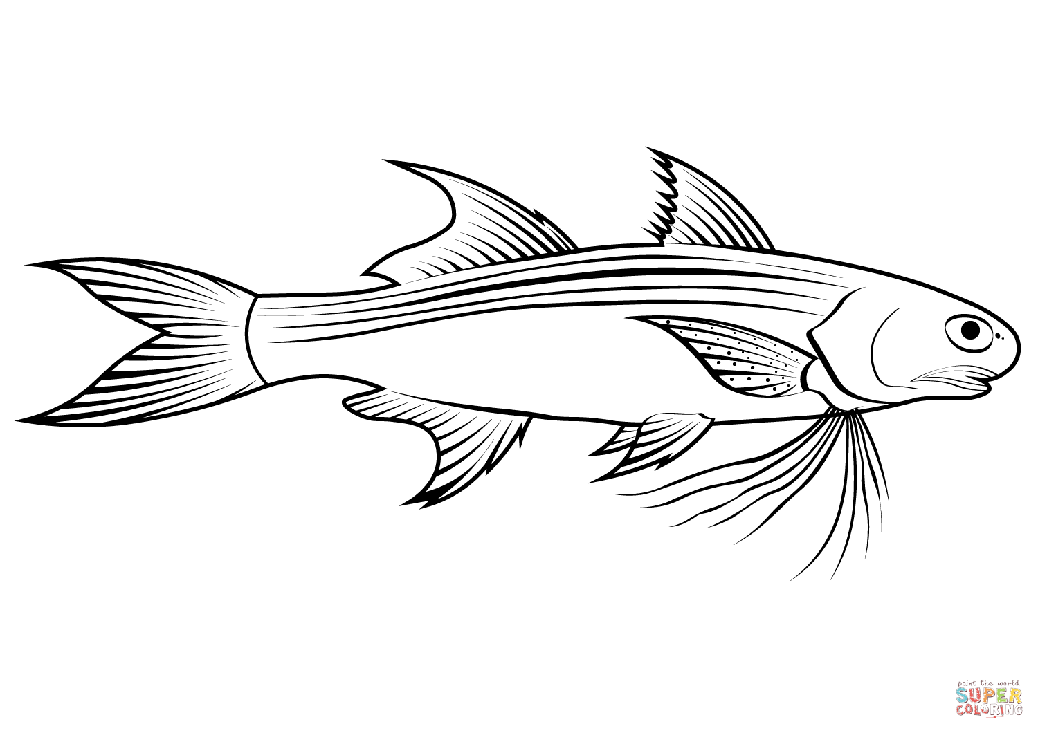 Lobed river mullet cestraeus goldiei coloring page free printable coloring pages