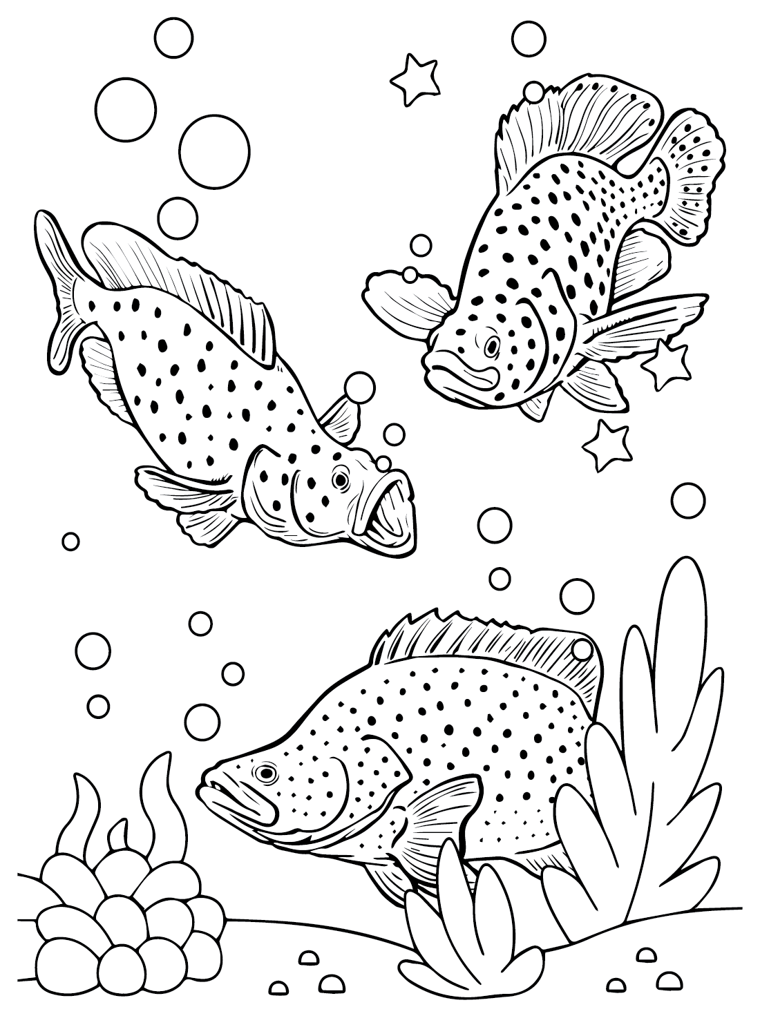 Grouper coloring pages