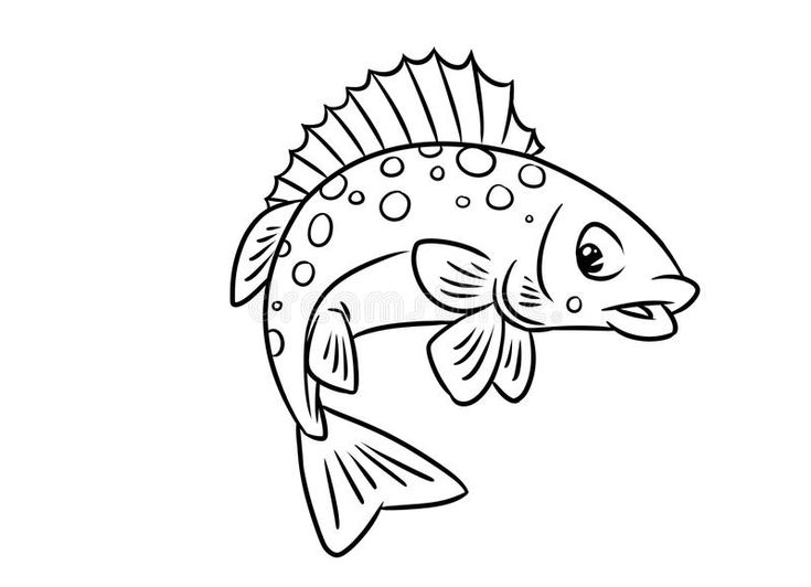 Colorful fish coloring pages