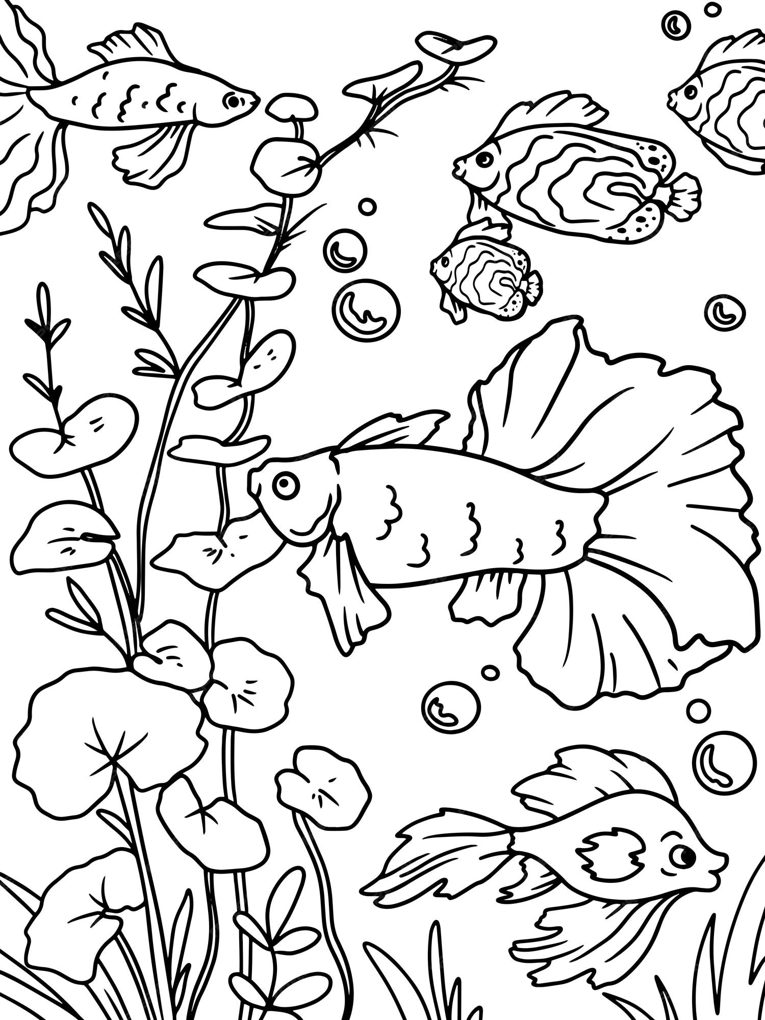 Premium vector coloring book white background black lines aquarium river bottom water world and fish