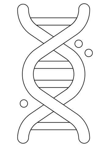 Dna coloring page free printable coloring pages