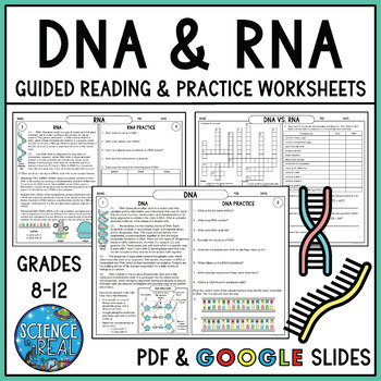 Dna and rna reading prehension and activities