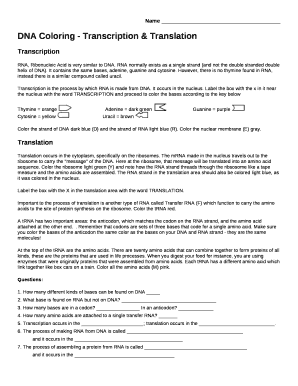 Dna coloring transcription and translation