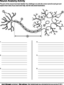 Coloring pages and biology worksheets ask a biologist