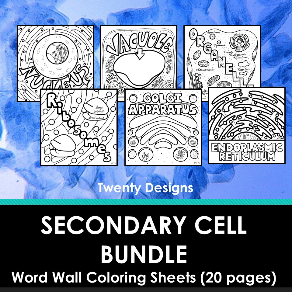 Secondary cells and organelles word wall coloring sheets pages made by teachers