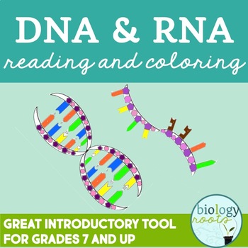 Dna rna reading and coloring activity by biology roots tpt