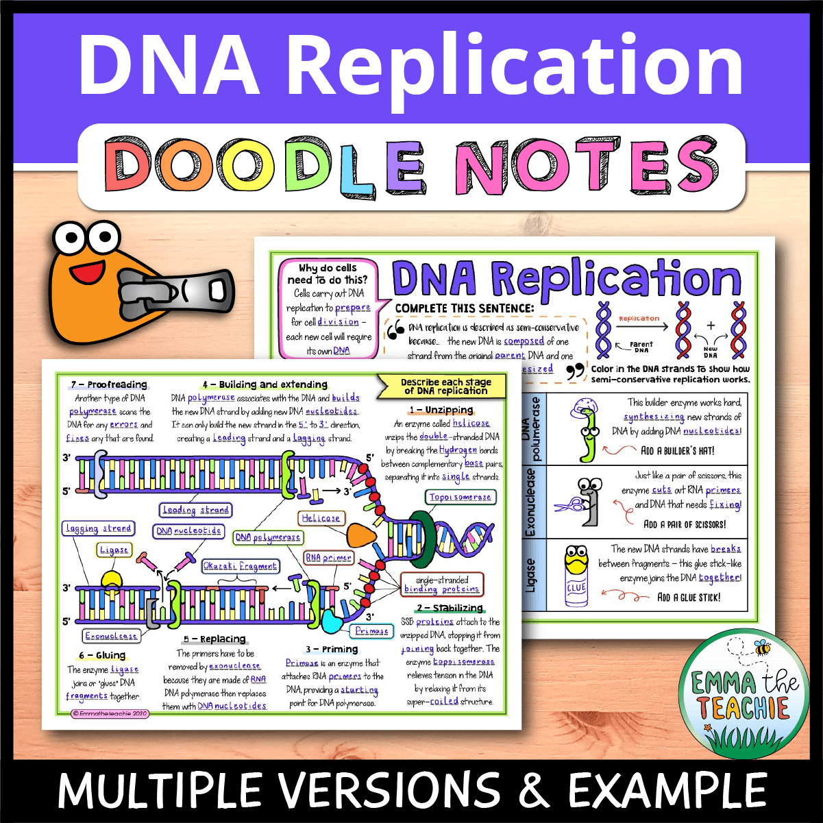 Dna replication doodle notes