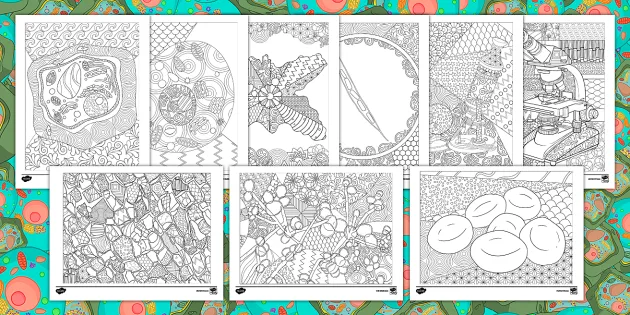 Cells mindfulness loring sheets teacher made