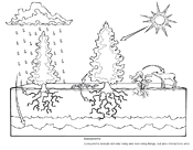 Coloring pages and biology worksheets ask a biologist