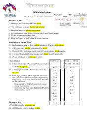 Rna worksheet docx