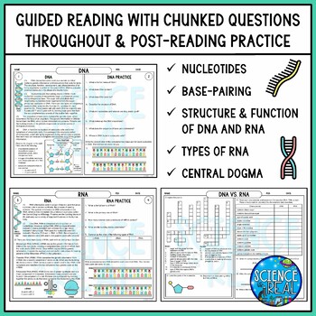 Dna and rna reading prehension and activities