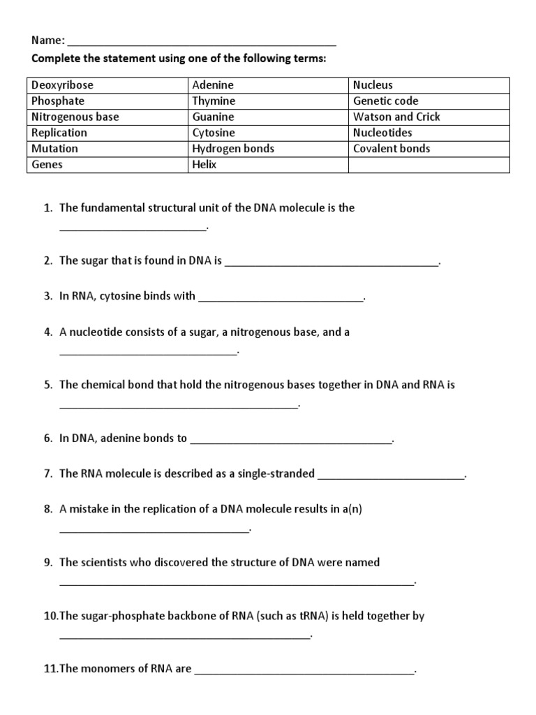 A parison of dna and rna worksheet pdf rna dna