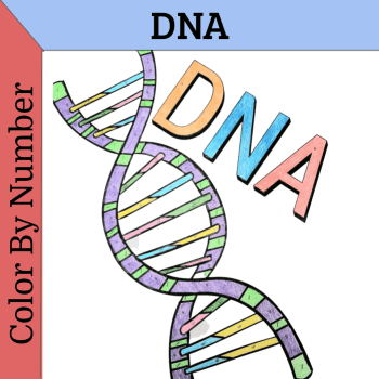 Dna enrichment pdf worksheet archives