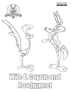 Coyote and roadrunner