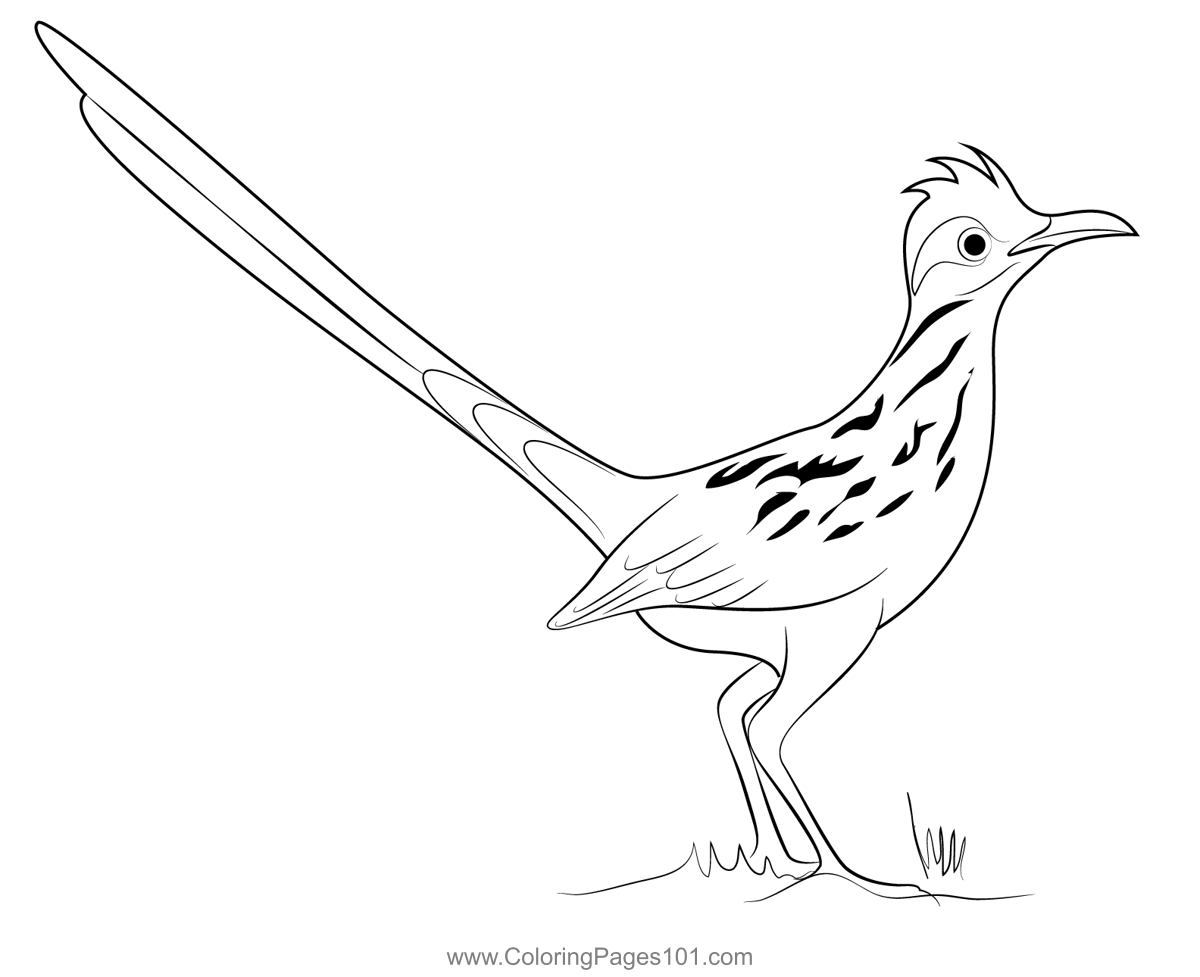 Road runner coloring page for kids