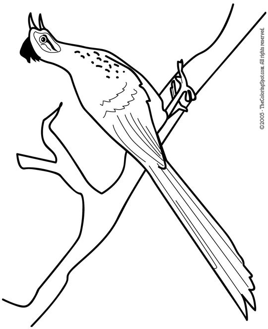 Roadrunner coloring page audio stories for kids free coloring pages colouring printables