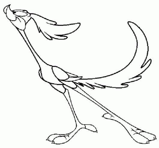 Road runner from the looney tunes coloring picture coloring pages for boys road runner bird drawings
