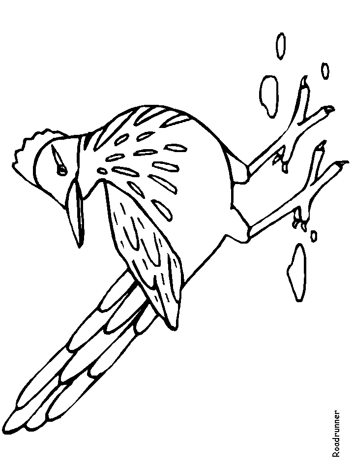 Free roadrunner coloring pages download free roadrunner coloring pages png images free cliparts on clipart library