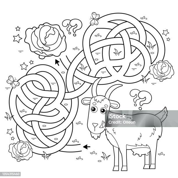 Maze or labyrinth game puzzle tangled road coloring page outline of cartoon goat with cabbage farm animals coloring book for kids stock illustration