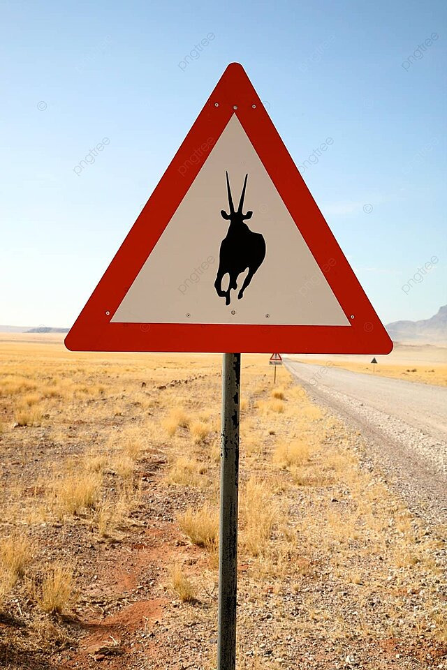 Danger springboks road sign sign color image backgrounds photo and picture for free download