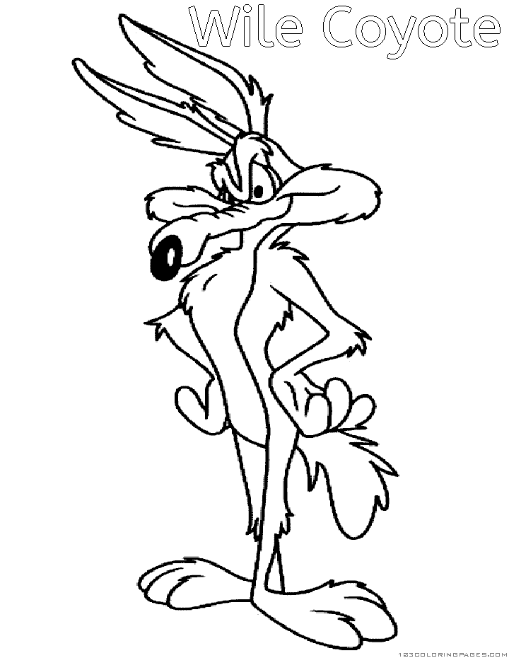 Wile coyote and road runner coloring pages