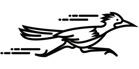 Roadrunner coloring pages free coloring pages