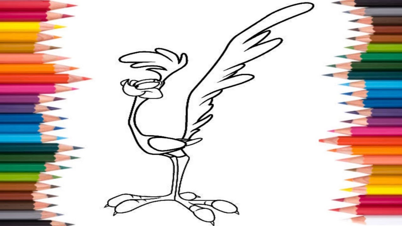 Road runner bird roadrunner bird cartoon craft by colouringday