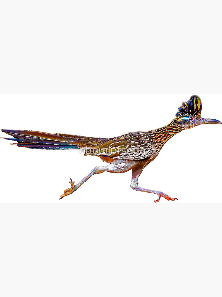 Roadrunner running magnet for sale by abowlofsoda