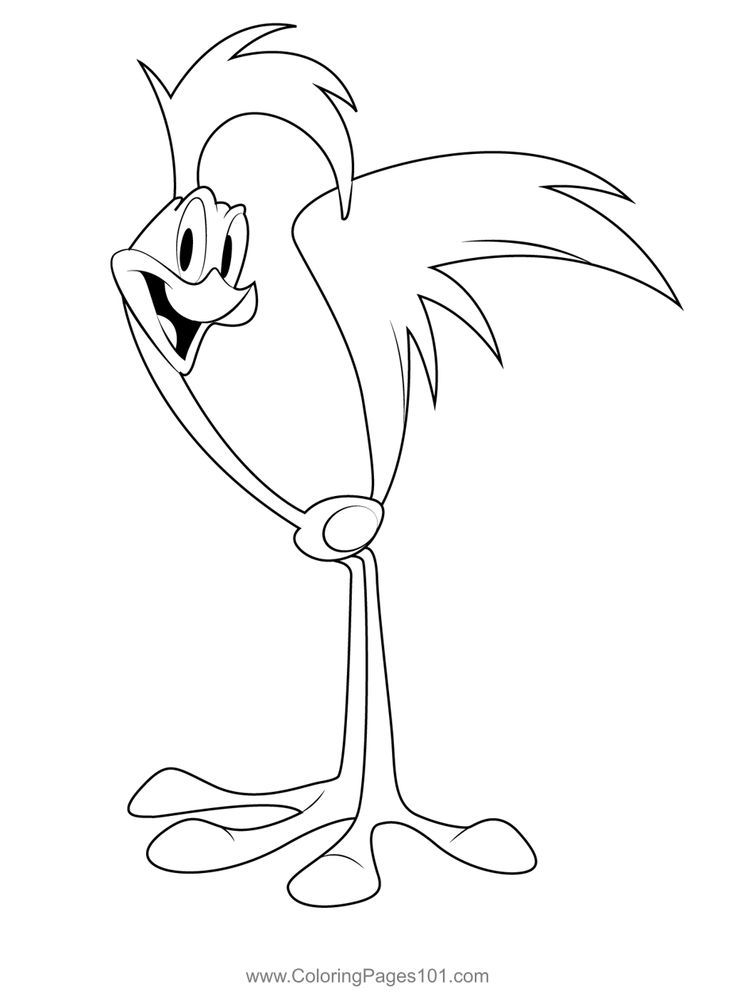 Road runner yellow bird coloring page bird coloring pages coloring pages yellow bird