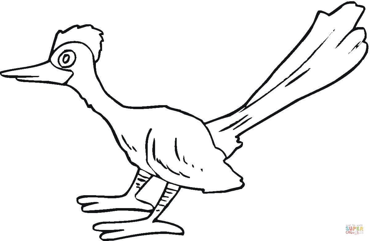 Roadrunner coloring page free printable coloring pages