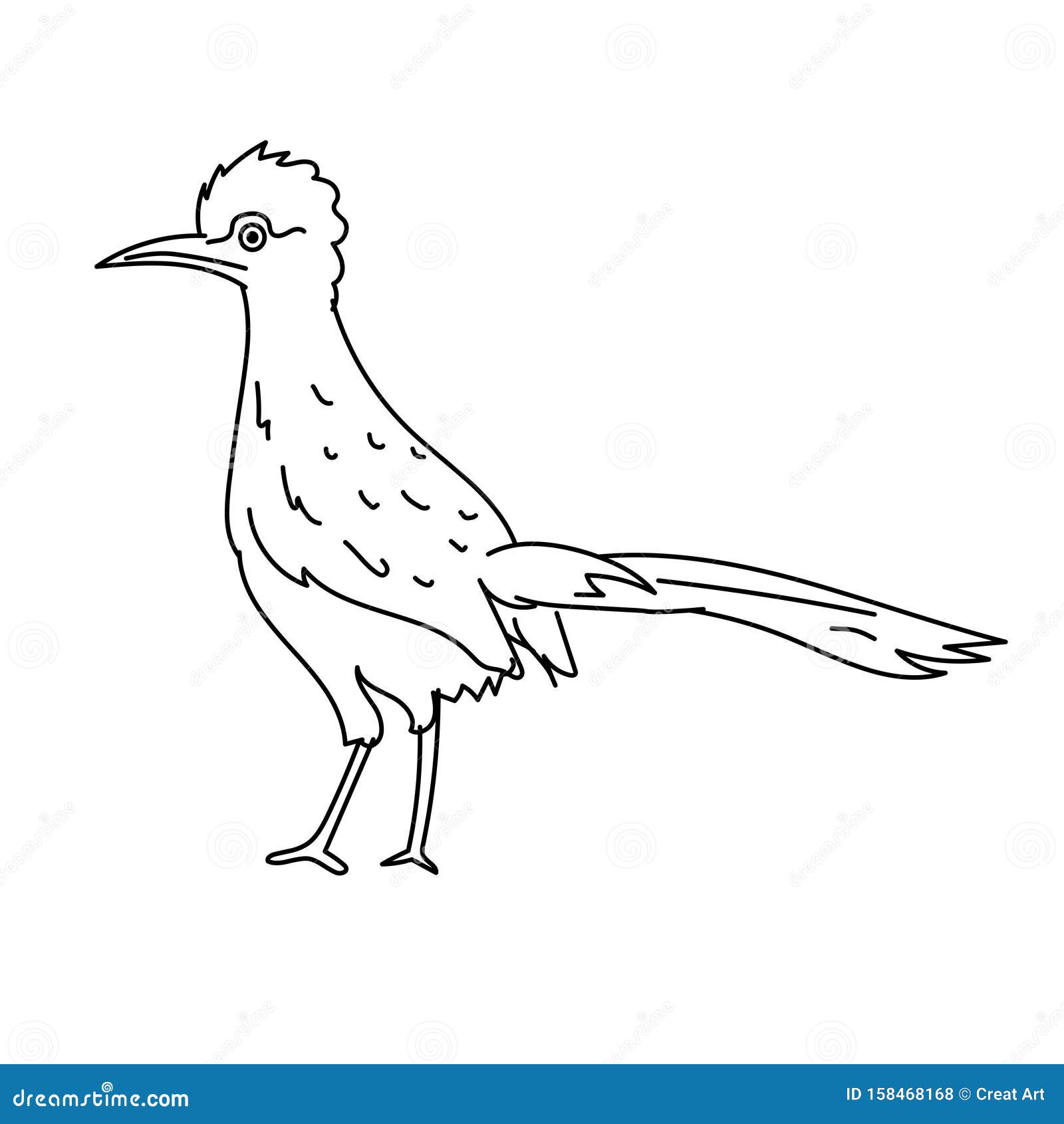 Roadrunner bird illustration vectorline art bird stock vector