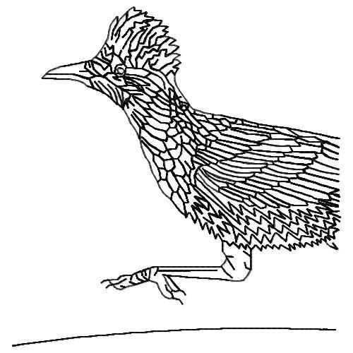 Roadrunner outline embroidery design