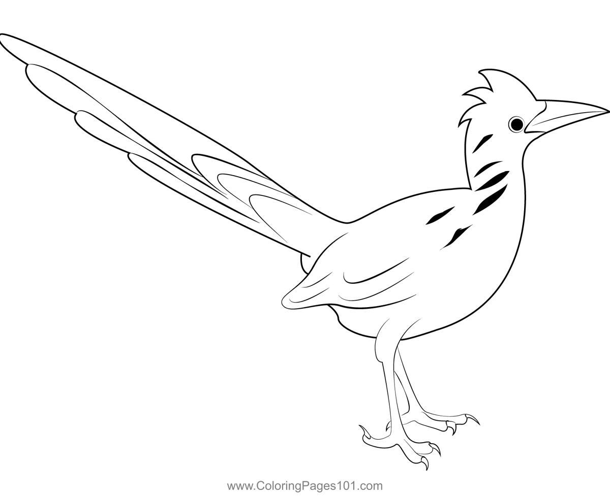 Road runner coloring page for kids