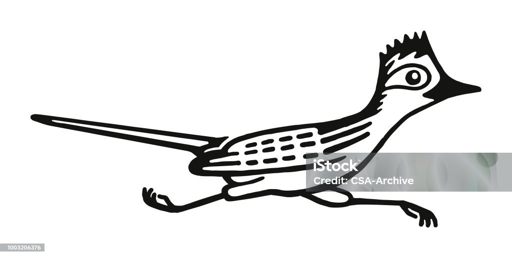 Roadrunner stock illustration