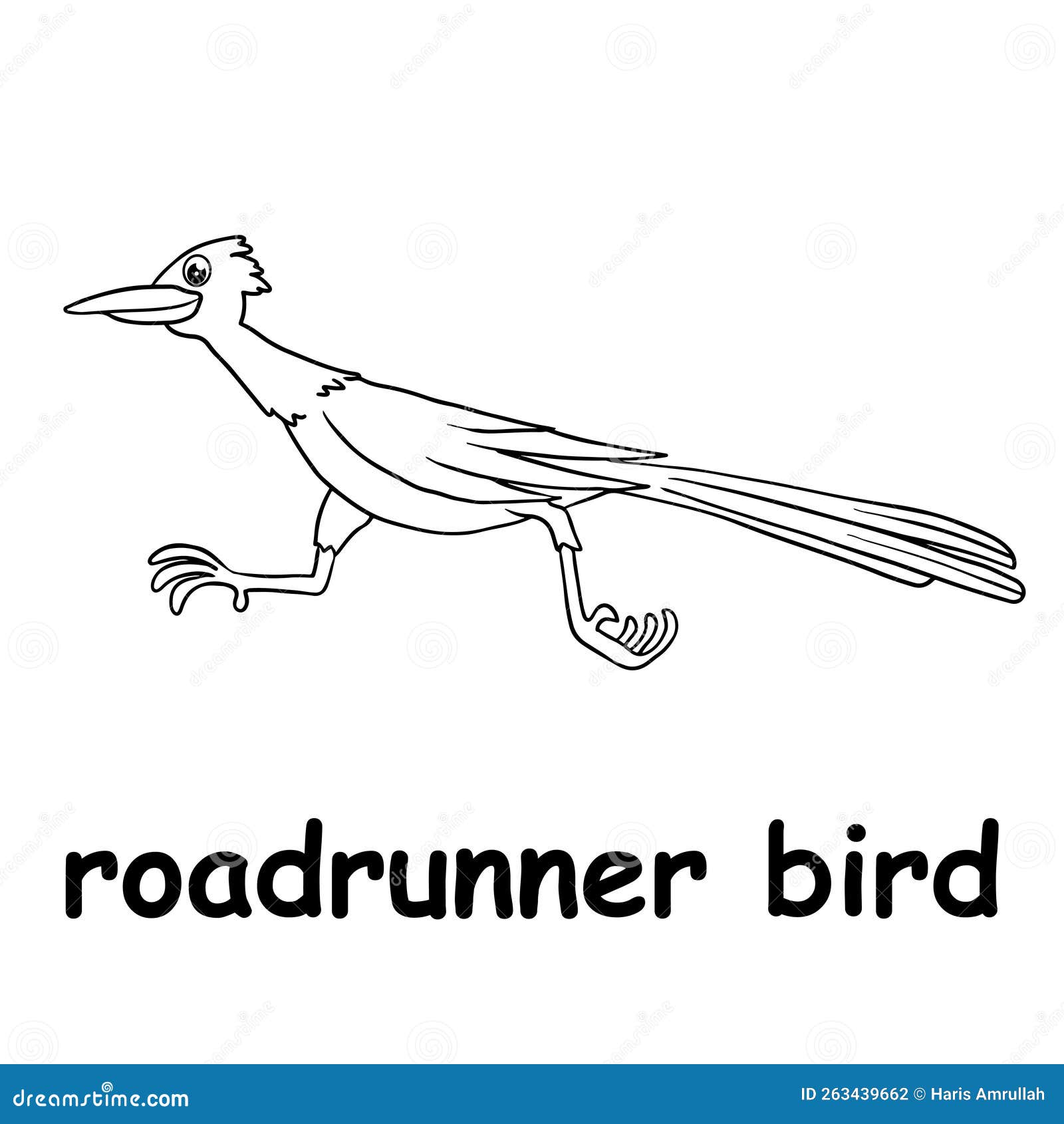 Kids line illustration coloring roadrunner bird animal outline stock vector