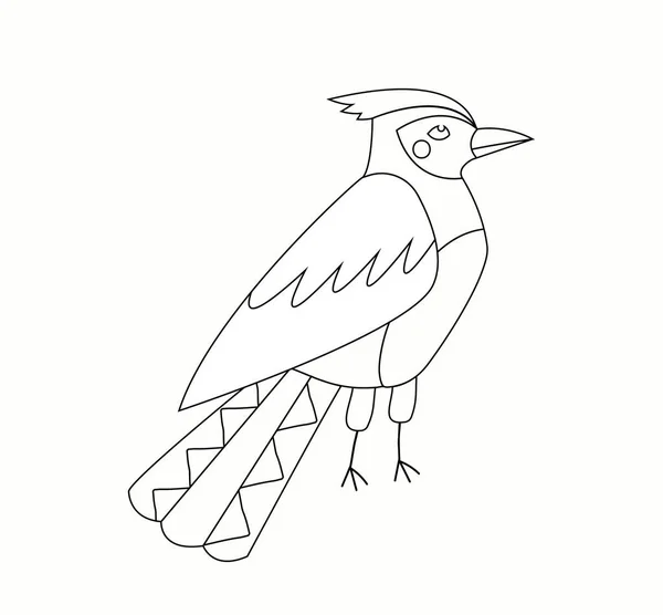 Roadrunner bird drawing stock photos royalty free roadrunner bird drawing images