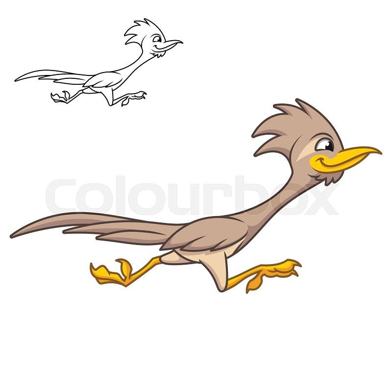 Cute happy roadrunner bird running fast with black and white line art drawing stock vector