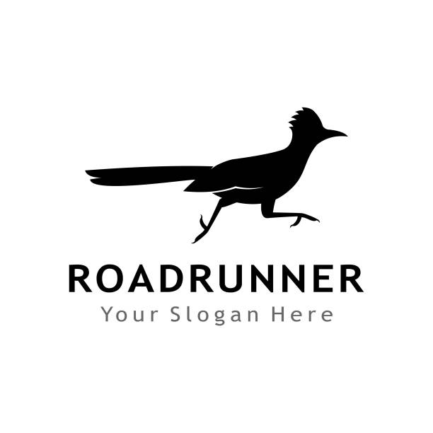 Road runner stock photos pictures royalty