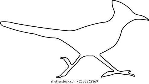 Roadrunner bird images stock photos d objects vectors